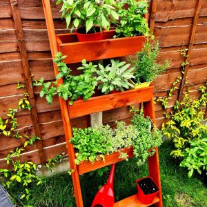 il_1000x1000.2459284703_cak6-1.jpg Wooden Planter- Ladder - Outdoor, herbs, plants, flowers, shrubs, decorative, flowerbed, accessory, garden, wood, handmade, rustic, bespoke