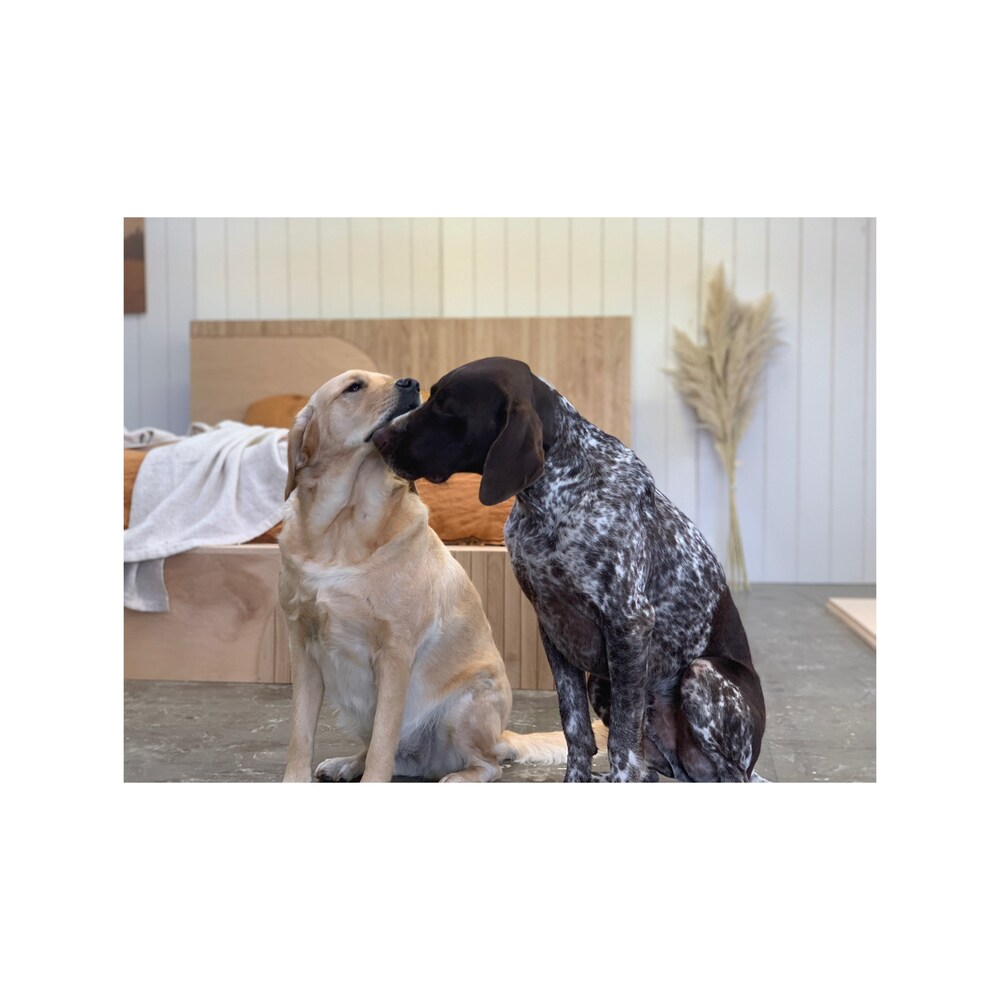 Custom Platform Bed Frame for Apartment Decor - "Eero" White Oak Wooden Bed Frame for Anniversary Gift - King Bed Frame Reclaimed Furniture - Image 7