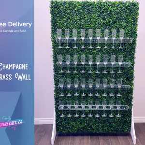 Grass Champagne Wall | Greenery champagne wall | Drink Wall | Clear shelf glass holder | Wedding decorations | treat wall