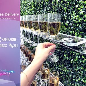Greenery drink Wall, Grass champagne wall, Drink Wall | Clear shelf glass holder | Wedding decorations | treat wall