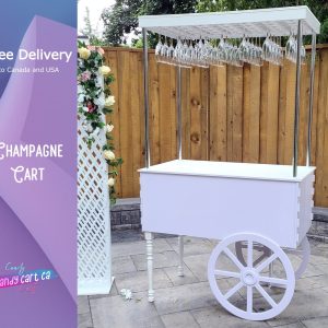 Champagne Cart | Decorative Champagne Cart | Mini drink bar | Party Decor | Wedding decorations | Wedding idea