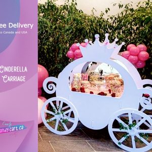 Cinderella Carriage, Princess Birthday Unique Idea, small Cart | Cake Stand mini Bar | Party Decor | First Birthday Idea
