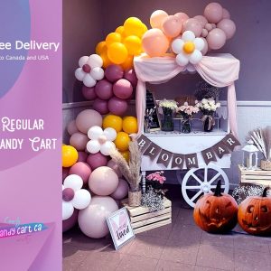 Sweet Cart | Candy Cart with wheels | adult sweet cart | Cake stand, mini Bar | Party Decor | Wedding decorations | Wedding idea
