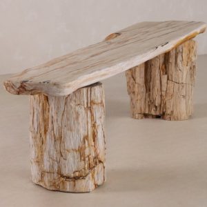 Petrified Wood Bench | One-of-a-kind
