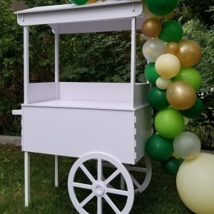 Modern Candy Cart, Birthday decorations, Event Decor, Party Cart, Party Decor