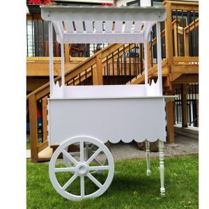 Contemporary Candy Cart, Elevate Your Birthday with Stylish Decor and Dessert Bar