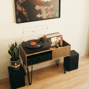 Turntable Stand and Vinyl LP Record Storage " Hilly Small". Store up to 50+ Records and create your own Beautiful HiFi Setup