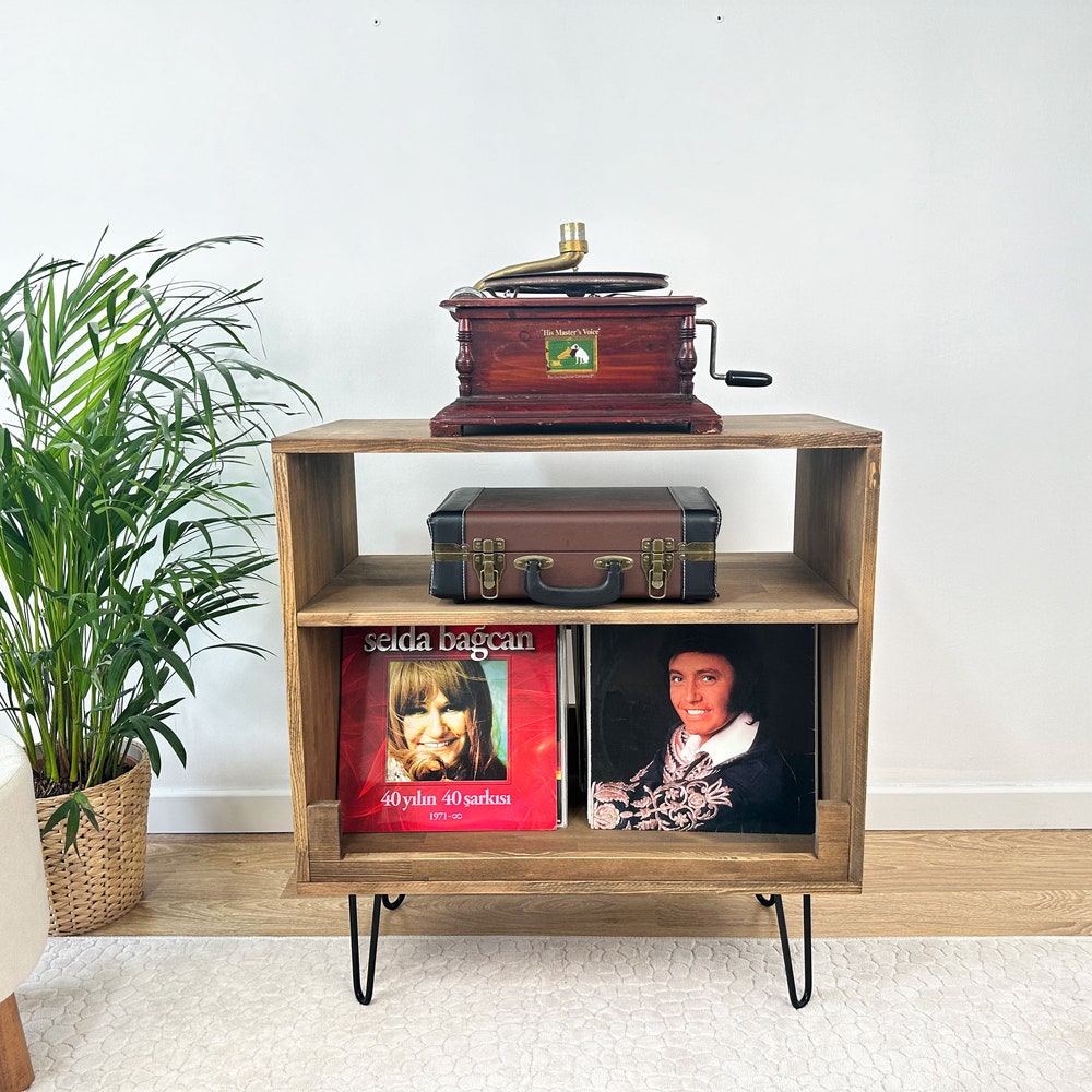 Record Player Stand, Vinyl Record Cabinet, Vinyl Holder, Record Console