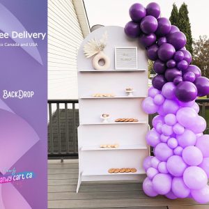 Treat wall, Party Backdrop, Event Decor, Arched Backdrop with Shelves for Display