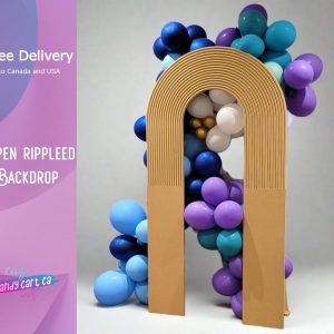 Open Rippled Backdrop, new design for birthday and wedding parties, Grooved arch for photo shooting