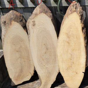 Elegant Ash Oval Slices - 45" x 14" x 2", Ideal for DIY Charcuterie Boards, Side Tables or Centerpieces