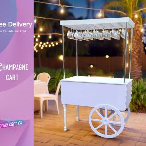 Champagne Cart, Mini drink bar, Party Decor | Wedding decorations | Wedding idea