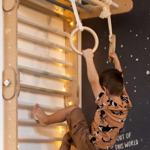 Happymoon® gym rings & trapeze bar, wooden exercise rings, gymnastic rings for swedish ladder, sprossenwand kinder, fitness rings