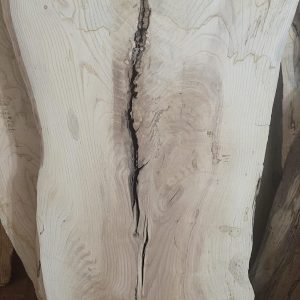 Large Natural Ashwood Slab – Distinctive Grain for One-of-a-Kind Creations