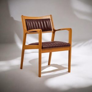 Modern Dining Chair with Wooden Arms, Kitchen & Living Room Chairs, Stylish Wooden Dining Table Seating