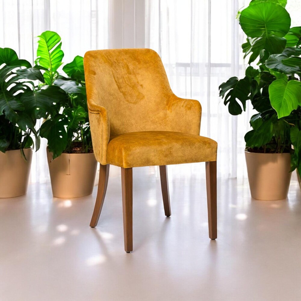 Wooden Dining Chair for Kitchen - Living Room, Modern Dining Table Chair, Comfortable & Stylish Chairs for Home Dining Room