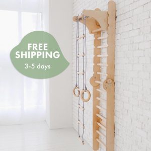 Birthday gift for kid, Сlimbing wall for kids gym, Swedish Ladder, Swedish wall, Montessori Play gym,Toddler climbing gym Montessori climber