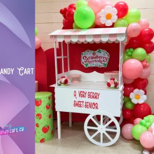 Candy Cart on Wheels,  Pink and Blue Roofs, Vendor Stand Decorations for Birthday Parties or Weddings