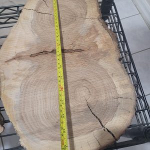 Kiln-Dried oak Wood slices – Premium Cuts for Charcuterie Boards, Woodworking & Resin Projects