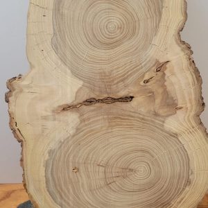 Kiln-Dried oak Wood slices – Premium Cuts for Charcuterie Boards, Woodworking & Resin Projects