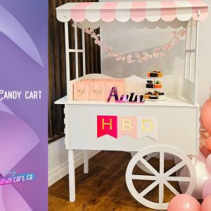 Candy Cart on Wheels, With Pink and Blue Roofs, Vendor Stand Decorations for Birthday Parties or Weddings